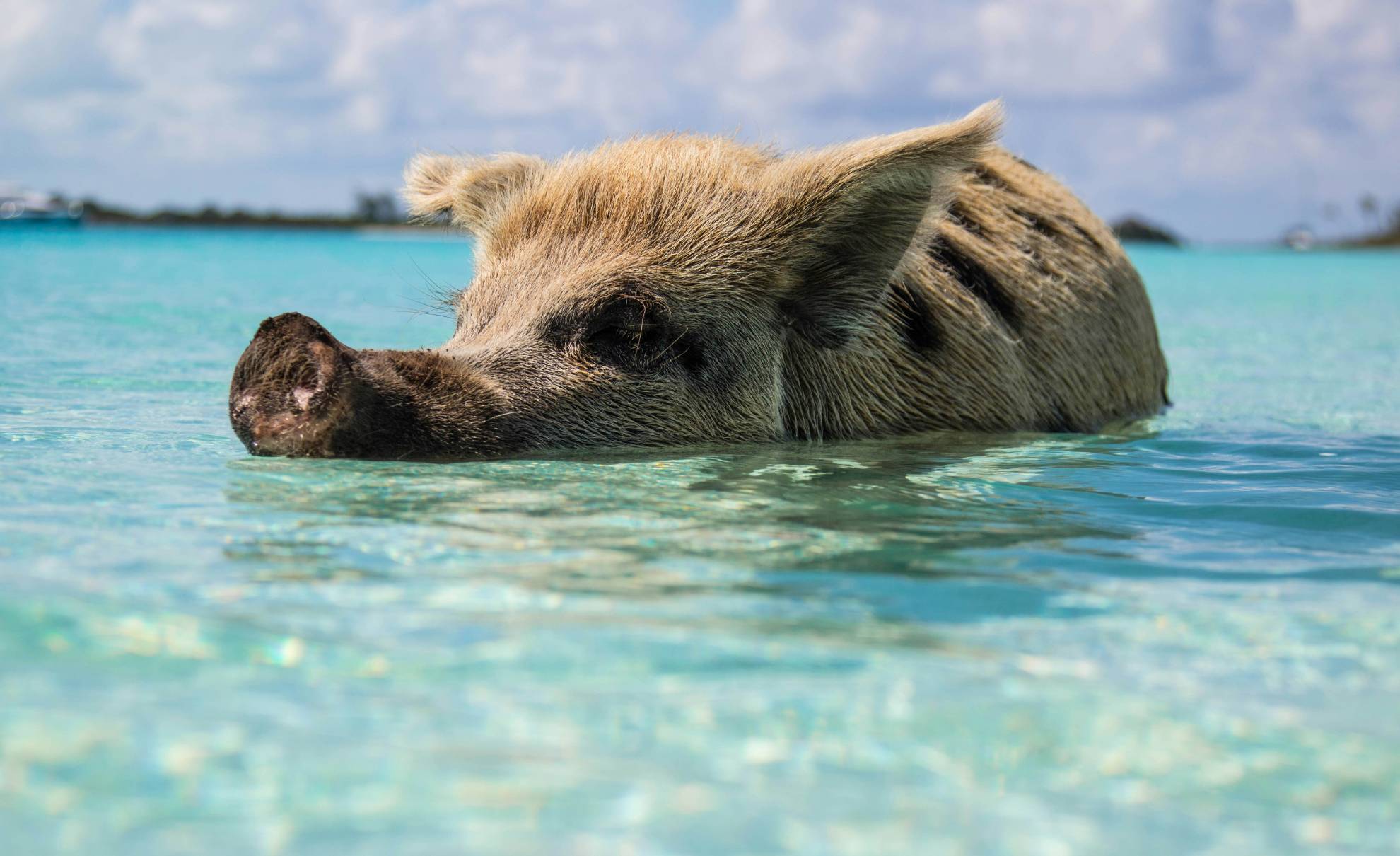 Sail Tropical Paradise Of The Exuma Islands Another World Adventures   Forest Simon Xa Fv2RQCPY Unsplash 1 